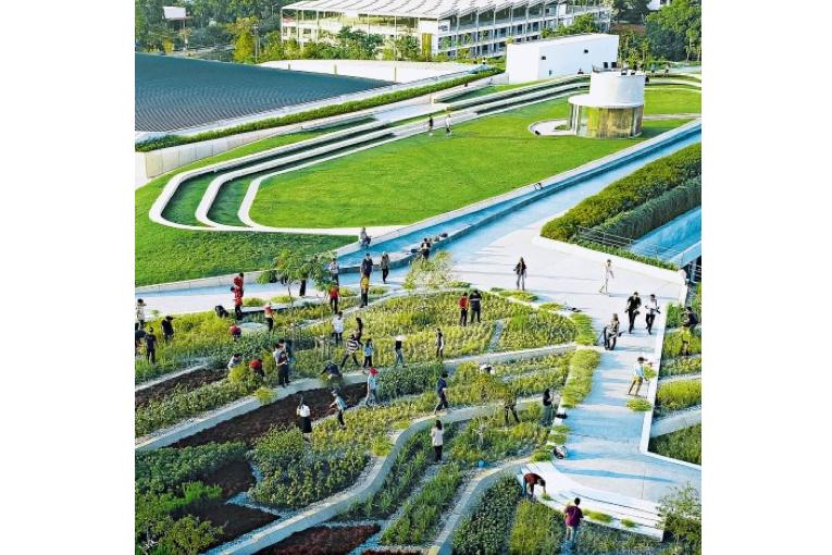 Holcim a été sélectionnée par SBTN pour déterminer des objectifs scientifiques à viser pour la protection de la nature. (¢Holcim]