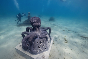 L'Octo-cérébrum de Floriane Liswoski rejoint le musée subaquatique de Marseille, à 5 m de profondeur au large de l'anse des Catalans. [©Guillaume Ruoppolo]