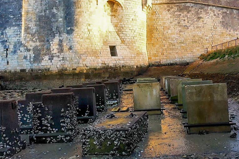 Corps d'épreuve en béton armé sur la plate-forme de vieillissement naturel à La Rochelle. [©V. Bouteiller, université Gustave Eiffel]