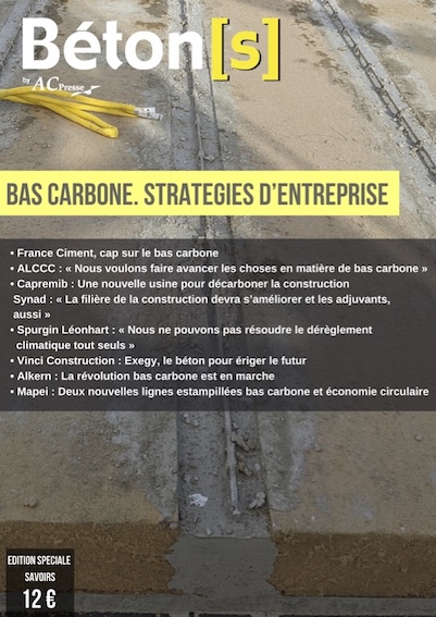 Savoirs "Bas carbone. Stratégies d'entreprise" PDF
