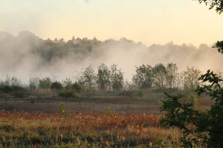 La carrière Cemex de Changis-sur-Marne devient “La boucle des mammouths”