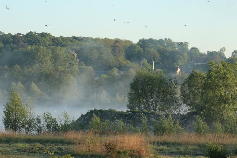 La carrière Cemex de Changis-sur-Marne devient “La boucle des mammouths”