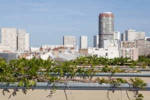 Toit de la résidence Joliot Curie lors de l'Inauguration